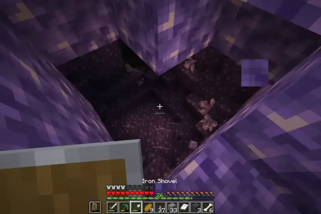 Estou apaixonado por jogar Minecraft no meu celular